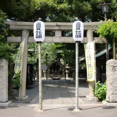 七社神社 夏詣御朱印／東京都北区